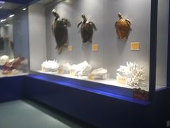 -福州罗源湾海洋世界旅游区