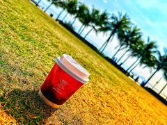 -Again Coffee Roaster(香蜜湖店)