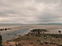 -深圳湾公园(南山区)