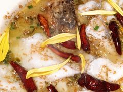 老坛酸菜鲈鱼-渔语鱼新川菜Bistro(万象天地店)