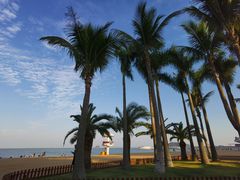 -太平洋咖啡(海滨泳场店)