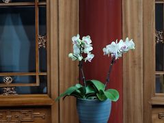 -北京古城老院厉晓麟精致菜