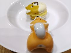 -柴务处·柴犬主题狗咖