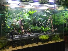 -上海大自然野生昆虫馆(东方明珠·爬宠昆虫探索中心)