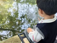 -乌村