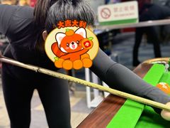 -丁俊晖台球俱乐部(长寿路店)