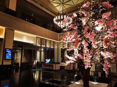 -成都安仁福朋喜来登酒店