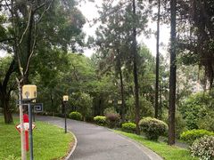 -清湖文化公园