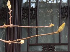 -苏州文旅花间堂·探花府酒店