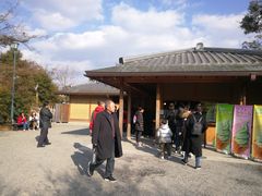 -豆政(金閣寺境内売店)