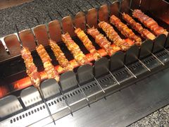 -邢氏老太太烧烤(罗湖店)