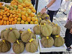 -西双版纳集贸市场