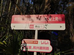 -冶父山国家森林公园