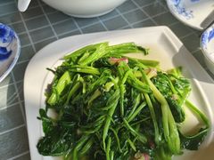 -古尚锦酒楼·水上餐厅