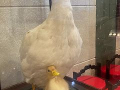 -西安烤鸭店(369烤鸭王店)