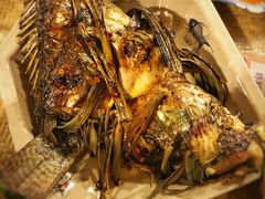 香草烤鱼-多哥水傣味餐厅(司马巷店)