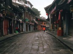 -胖娃古镇鸡杂(磁器口总店)