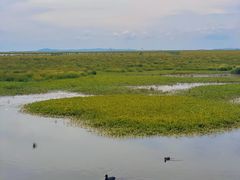 -花湖生态旅游区