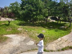 -白水寺森林公园
