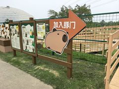 -盈香心动乐园