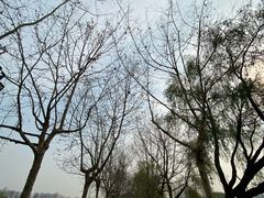 -金银湖国家城市湿地公园