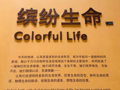 -Behring World of Animals(上海自然博物馆店)