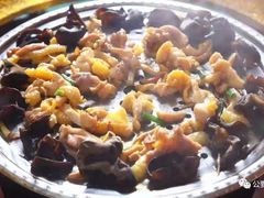 桑拿大扇鸡-公野祥鸡鲍翅