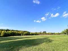 -白鹭湾湿地公园