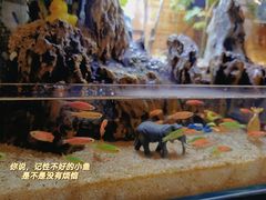 -Siam泰餐厅(水上公园店)