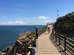 -广东惠东海龟国家级自然保护区
