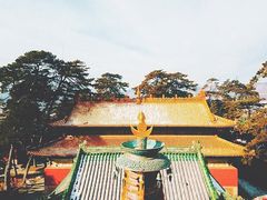 -普乐寺