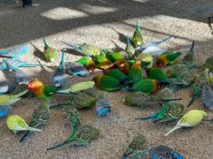 -珠海海泉湾神秘岛亲子乐园