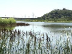 -永定河休闲森林公园