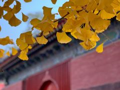 -承恩寺