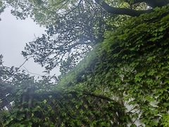 -上海醉白池公园