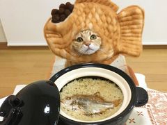 -北京邮电大学-清真餐厅