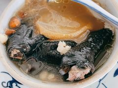 -達揚原味燉品(文明路店)