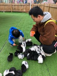 -萌宠亲子动物乐园(槐房万达店)