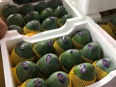 -江杨农产品批发市场