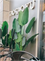 -桃桃屿·潮牌酷银(世纪荟店)