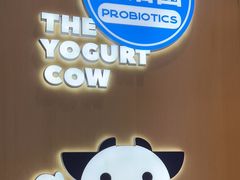 -一只酸奶牛(春熙路店)