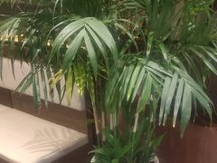 -乔家小院•本地小海鲜•非遗驴肉(万年泉路店)