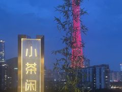 -小茶闲舍·观景商务茶馆(广州塔店)