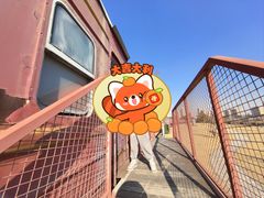 -菊园百果园