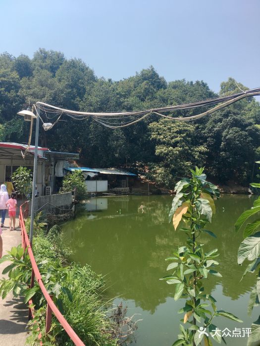 台山佬农庄-环境图片-江门美食-大众点评网