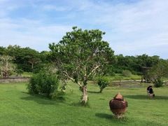 -乌鲁瓦图寺
