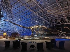 -世界恐龙谷景区