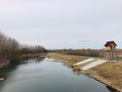 -东郊湿地公园
