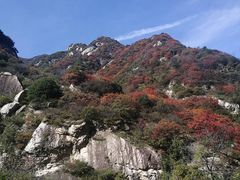 -秦岭风景区