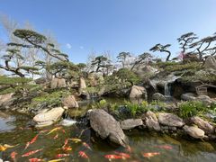 -罗红摄影艺术馆